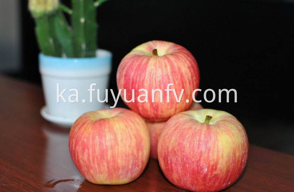 Fuji Apple 48